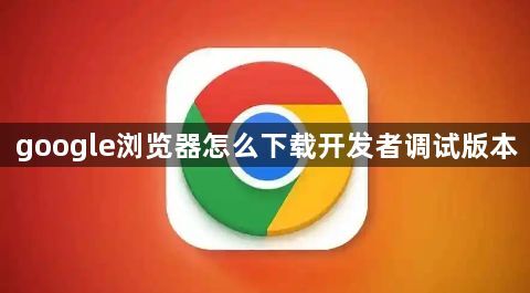 google浏览器怎么下载开发者调试版本1
