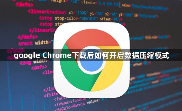 google Chrome下载后如何开启数据压缩模式1