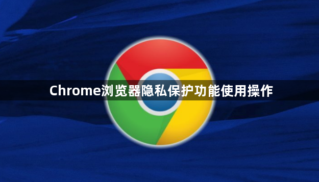 Chrome浏览器隐私保护功能使用操作1