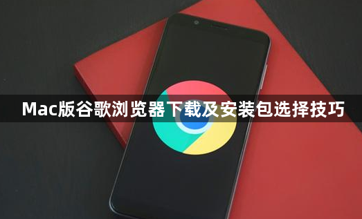 Mac版谷歌浏览器下载及安装包选择技巧1