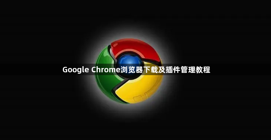 Google Chrome浏览器下载及插件管理教程1