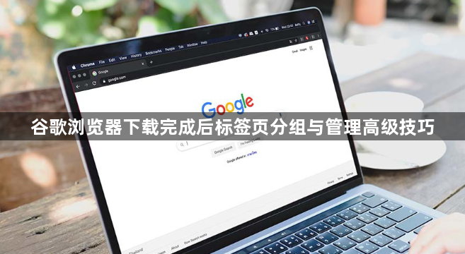 谷歌浏览器下载完成后标签页分组与管理高级技巧1