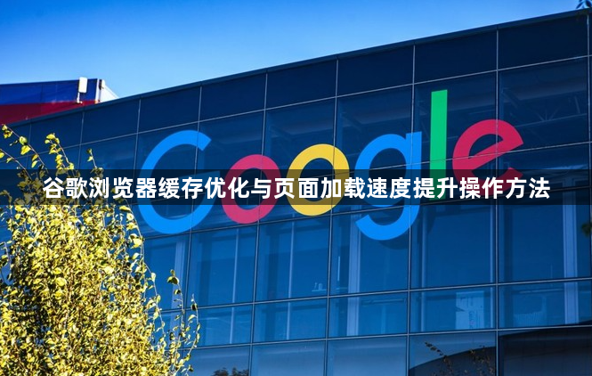 谷歌浏览器缓存优化与页面加载速度提升操作方法1