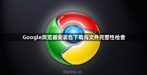 Google浏览器安装包下载与文件完整性检查1