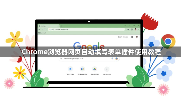 Chrome浏览器网页自动填写表单插件使用教程1