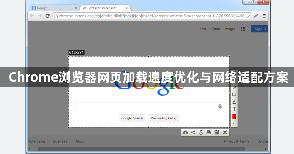 Chrome浏览器网页加载速度优化与网络适配方案1